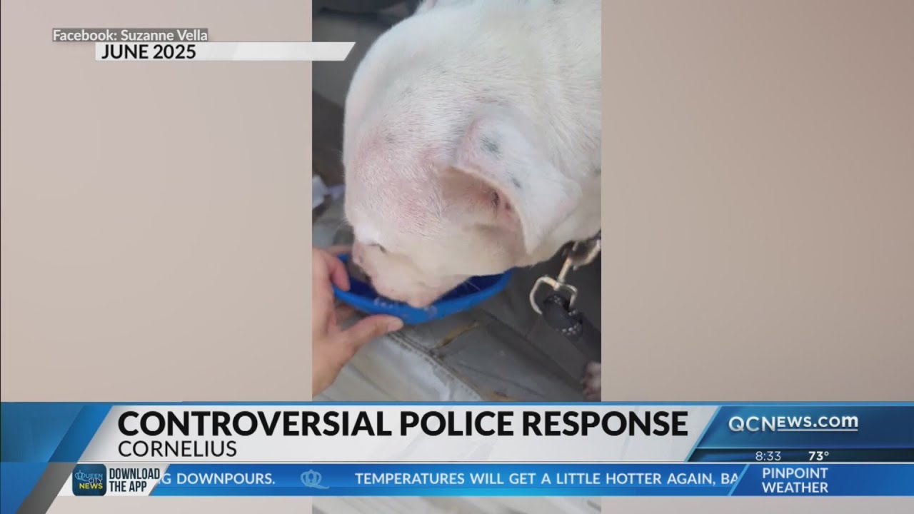 Legal Analyst: Cornelius cop suspended for handling of dog in hot car