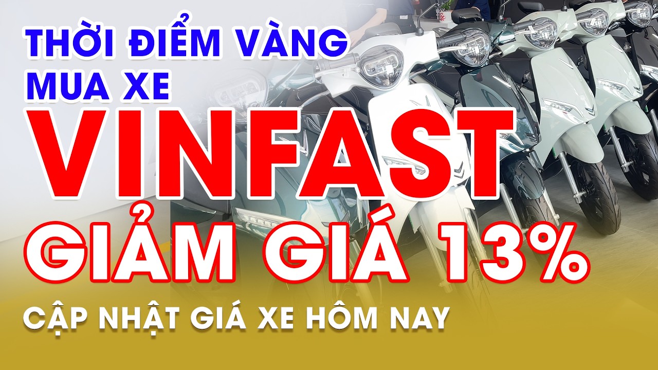 THỜI ĐIỂM V&Agrave;NG MUA XE ĐIỆN VINFAST | GI&Aacute; XE RẺ HIỆN NAY