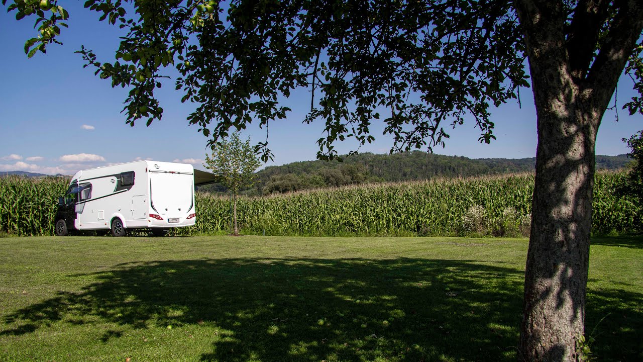 Reisebericht Bauernhofcamping Kaltenböck (OÖ, Wilhering) August 2020