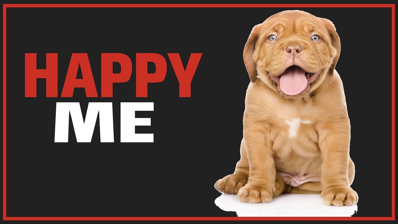 Sounds To Make Your Puppy Happy (GUARANTEED)