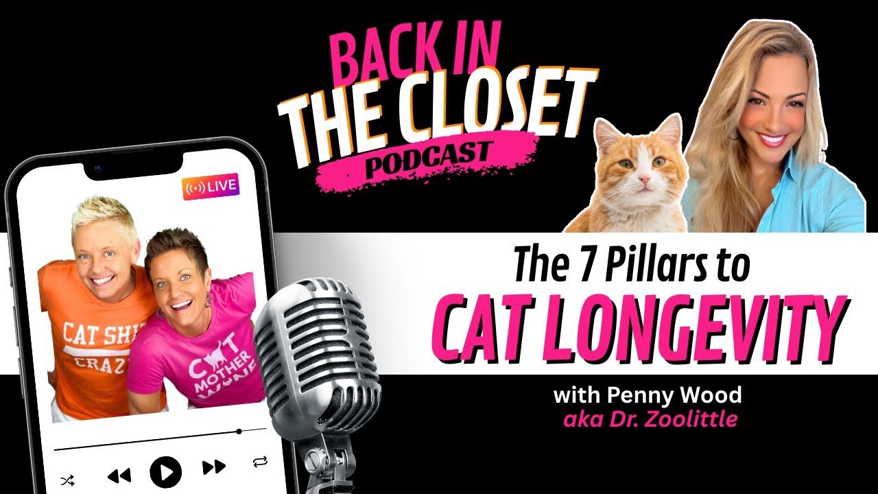 The 7 Pillars to Cat Longevity with Dr  Zoolittle | Back In The Closet