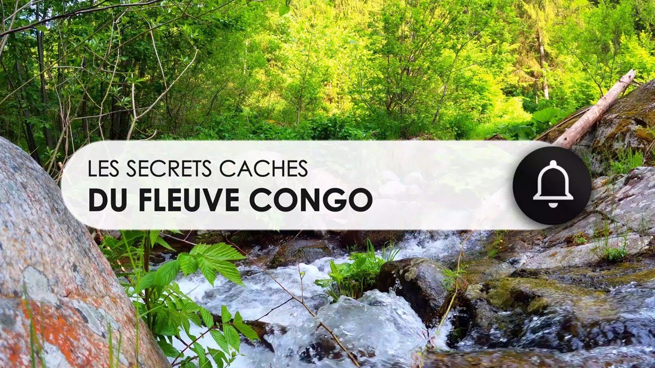 LES SECRETS CACHES DU FLEUVE CONGO (RDC): #nature  #aventure [ENGLISH SUBTITLE]