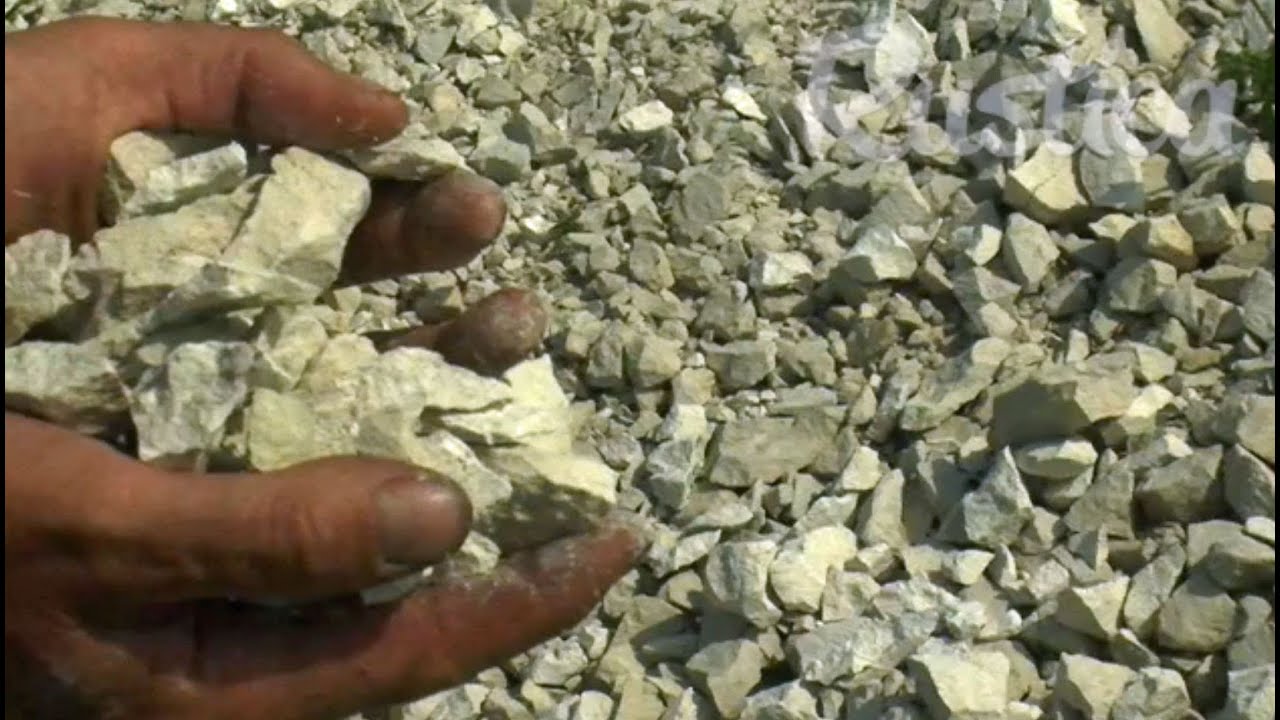 Les types de sol : le sol calcaire