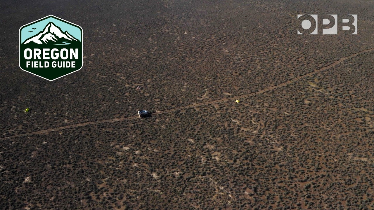 In search of the quietest place in Oregon | Oregon Field Guide