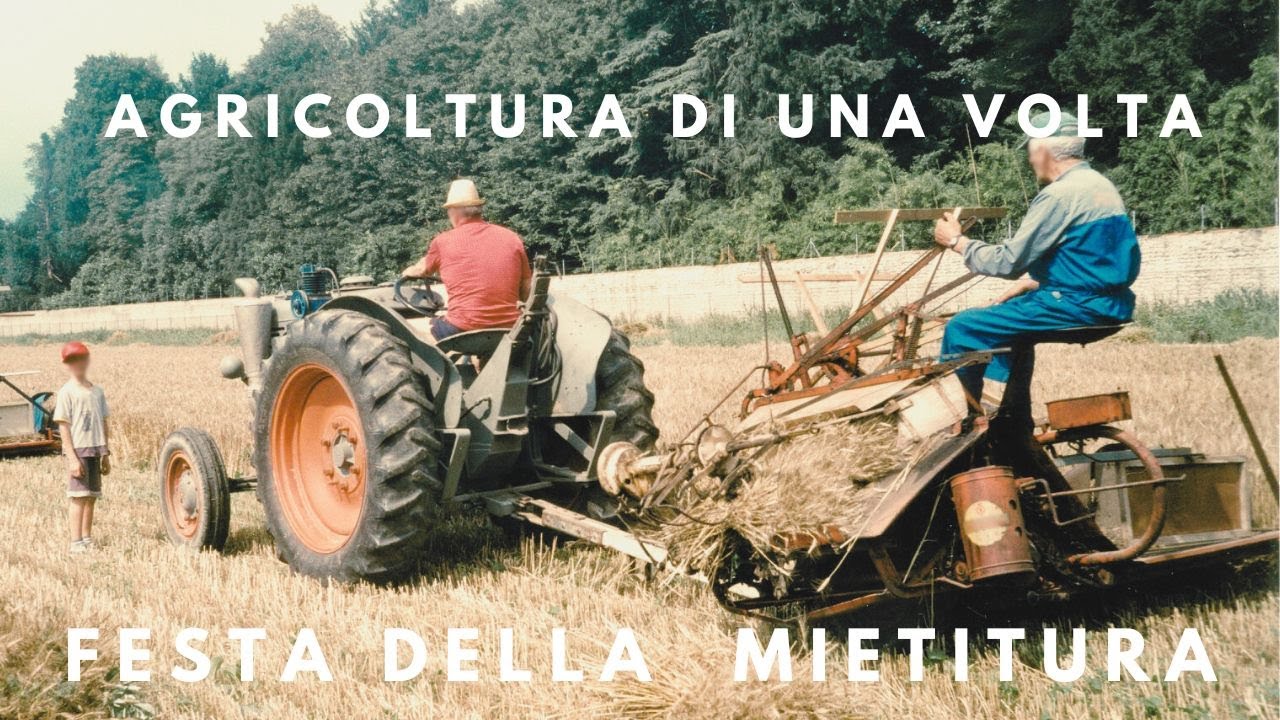 Vecchi trattori per la festa della mietitura fare il fieno raccolta frumento rievocazione agricola