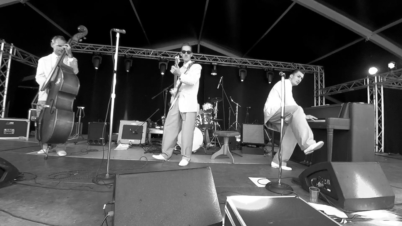 RAY ALLEN AND HIS BAND - COTTONPICKIN' (Mickey Hawks & The Night Raiders) - Vintage Festival Belgium