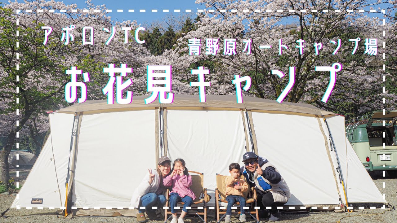［青野原オートキャンプ場］桜満開！お花見キャンプ　OGAWA  Apollon T/C
