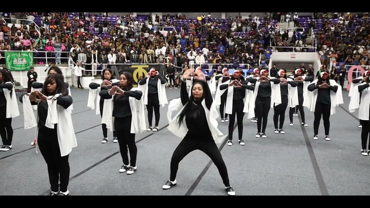 PVAMU probate ( Eta Beta Chapter)