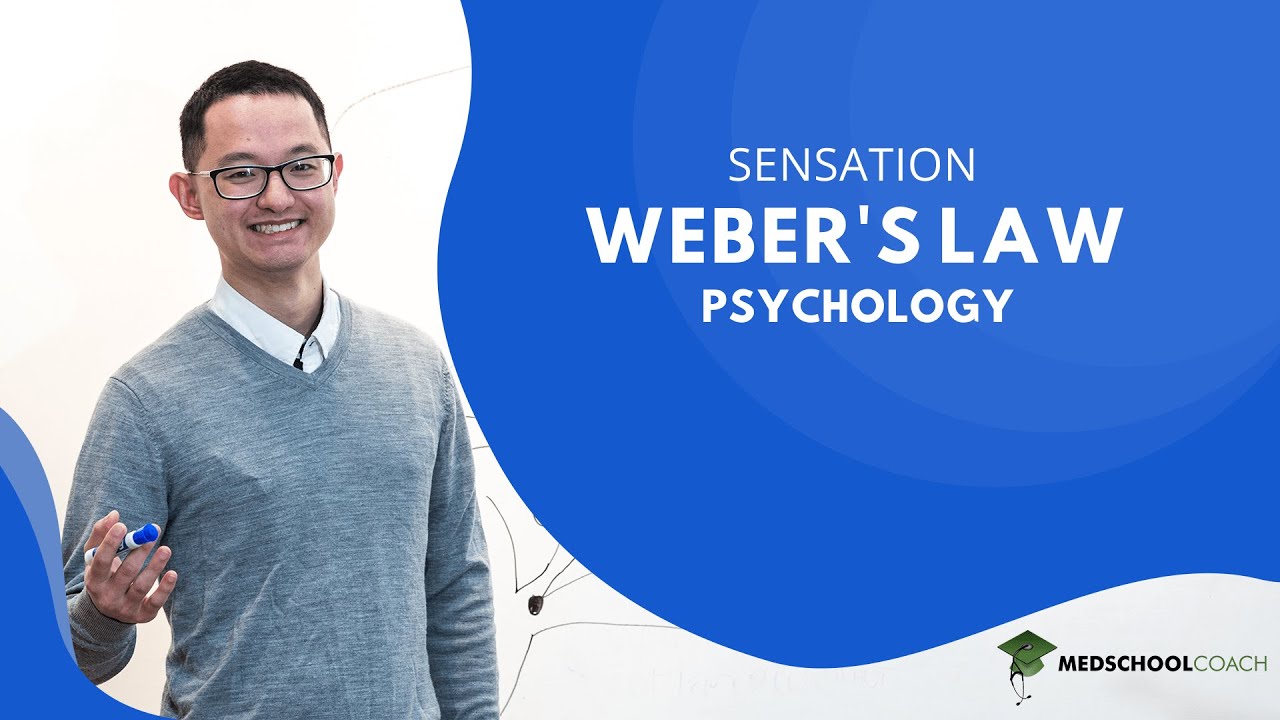 Weber's Law for Sensation