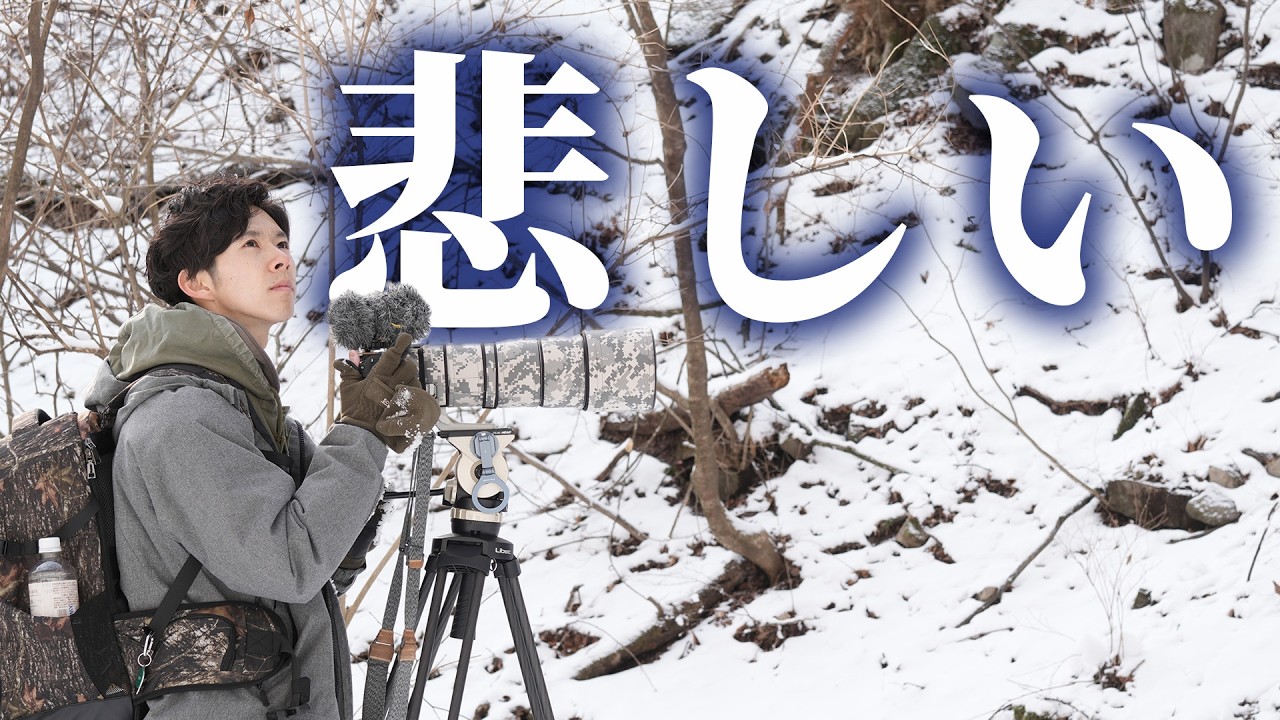 【悲しい】野鳥の楽園で餌付けが横行してました、、、