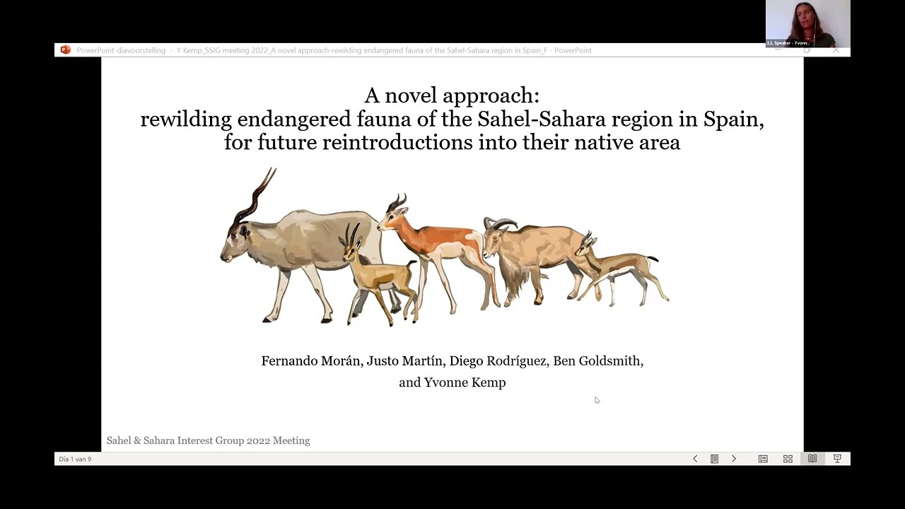 Rewilding endangered sahel-sahara species in Spain,for future reintroductions into their native area