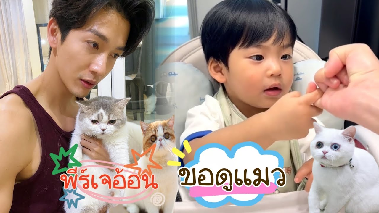 พีร์เจ 1 ขวบ 8 เดือน อ้อนแม่จุ๋ยขอดูแมว
