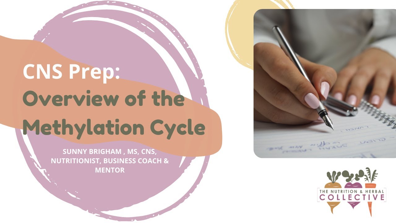 TNHC CNS Prep: Overview of the Methylation Cycle