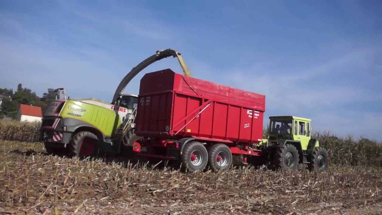 Mais silieren mit Claas, MF und Mercedes Benz