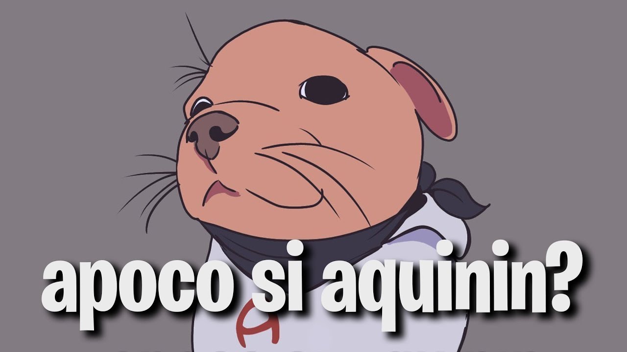 apoco si aquinin?