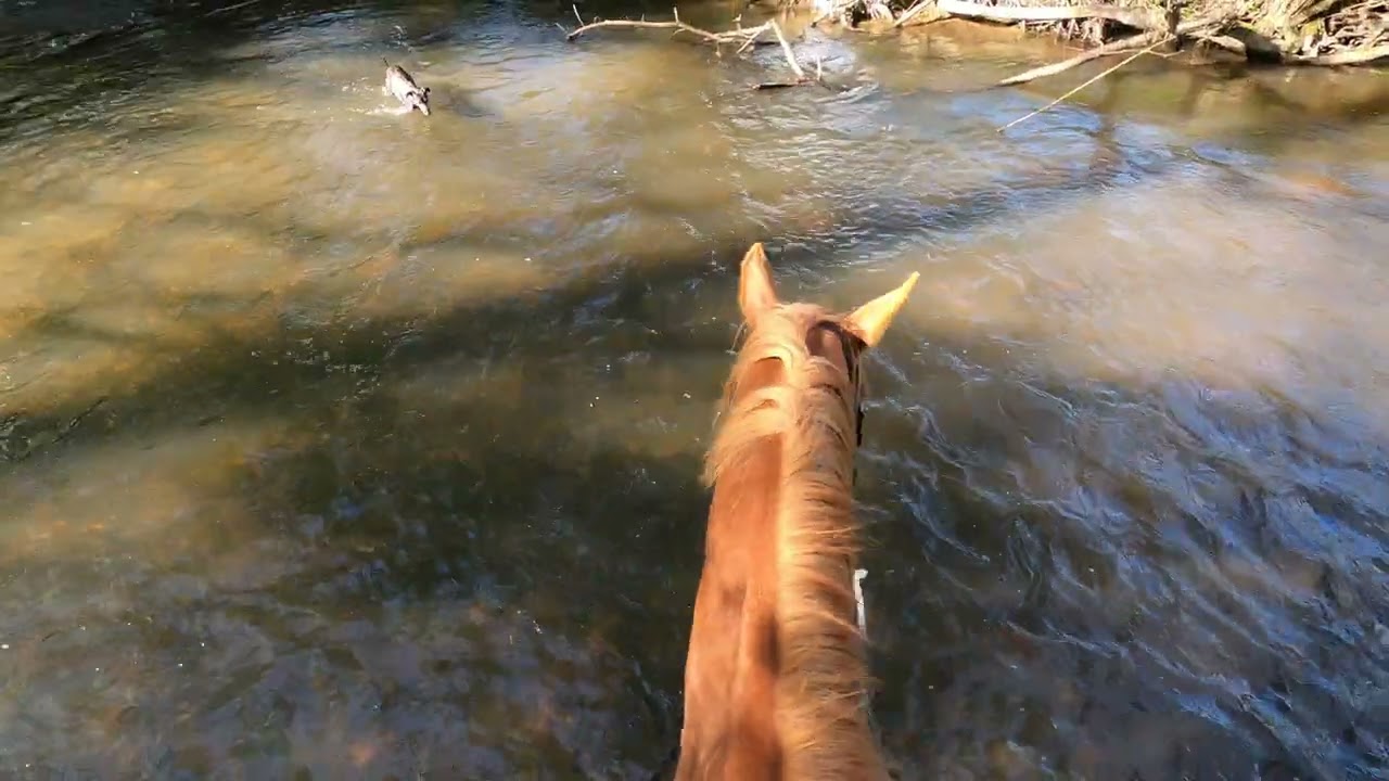 Going for a paddle