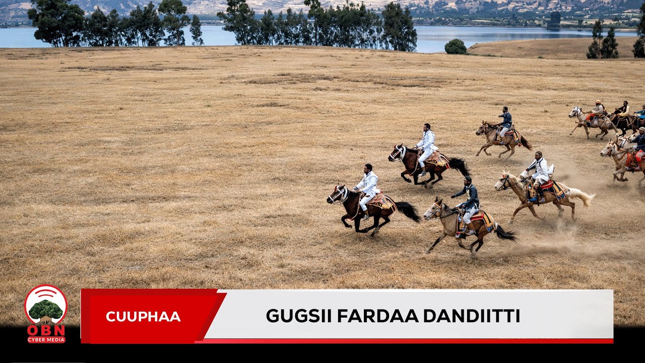 Gugsii Fardaa Dandiitti