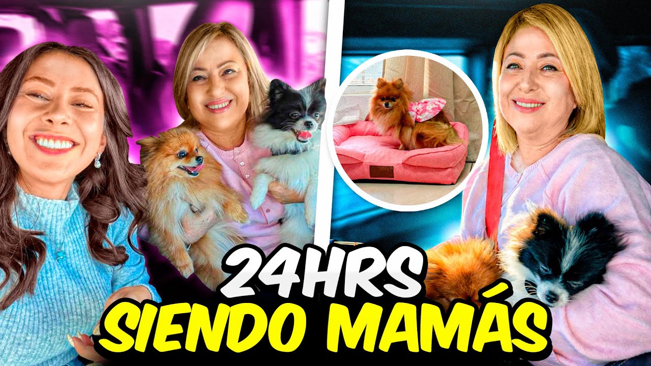 CUIDANDO A CHLOE Y CRUELLA SIN DAFNNE 🐶🥲 I HERMANAS JM