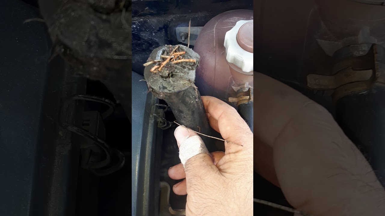 Arabam içeriye su alıyor