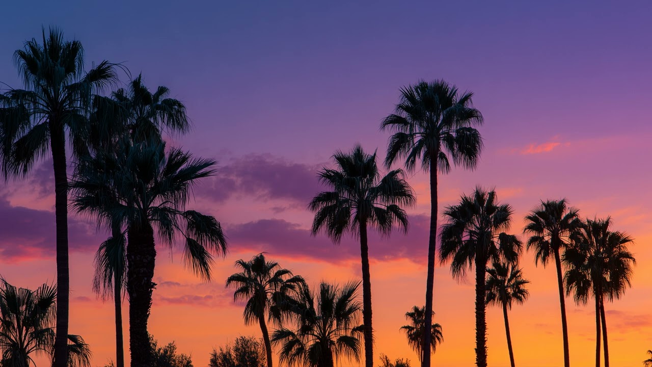 The Ultimate Chill Your Mind Mix (No Loops)