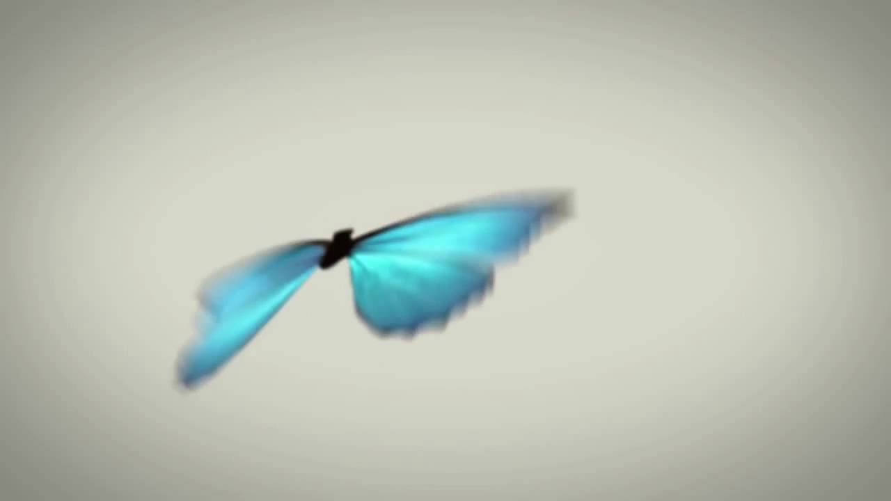 AFTER EFFECTS TUTORIAL  -  Animate Butterfly