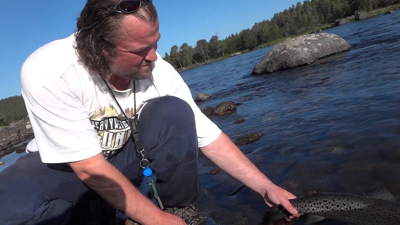 Juutua 4kg naaraskalan vapauttaminen.