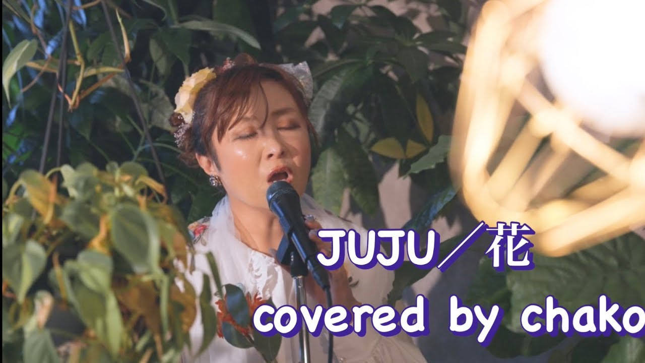人生につまづいた時、この曲に救われてます💕　JUJU／花　covered by chako