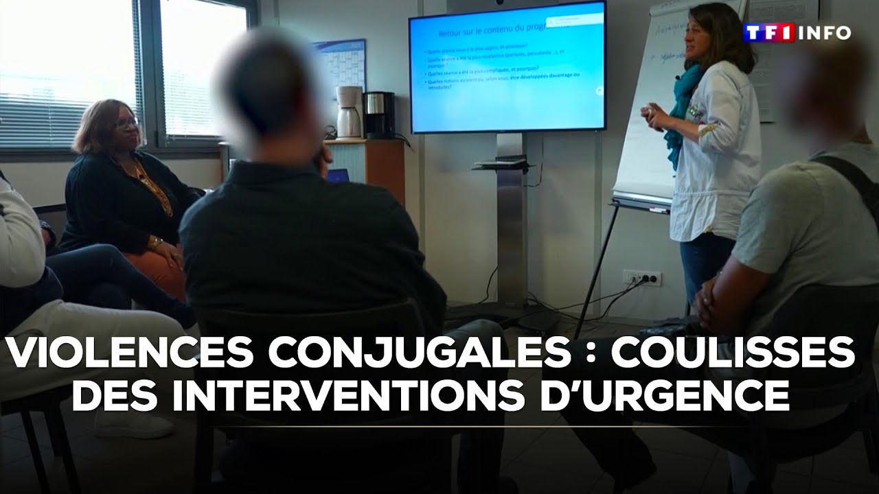 ENQUÊTE - Violences conjugales : les coulisses des interventions d'urgence｜TF1 INFO