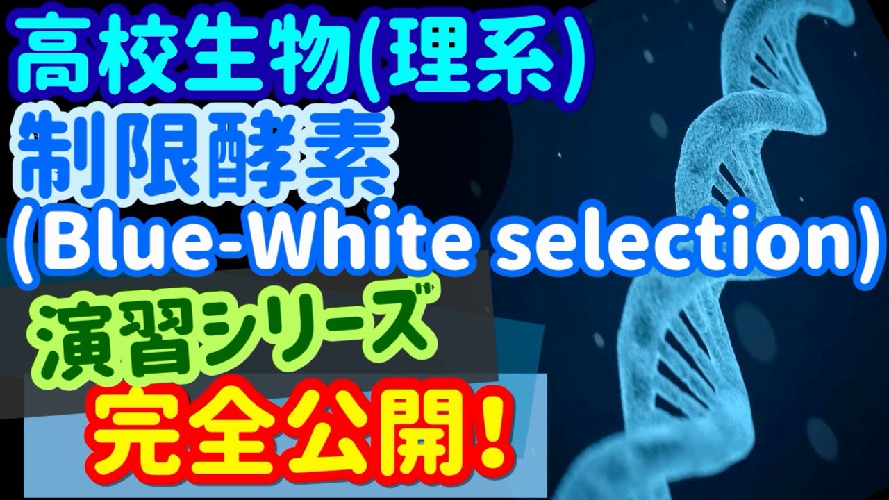 【高校生物演習 04】制限酵素（Blue-White selection）を宇宙一わかりやすく
