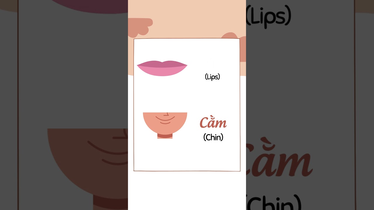 Face parts in Vietnamese - 50 seconds to master 