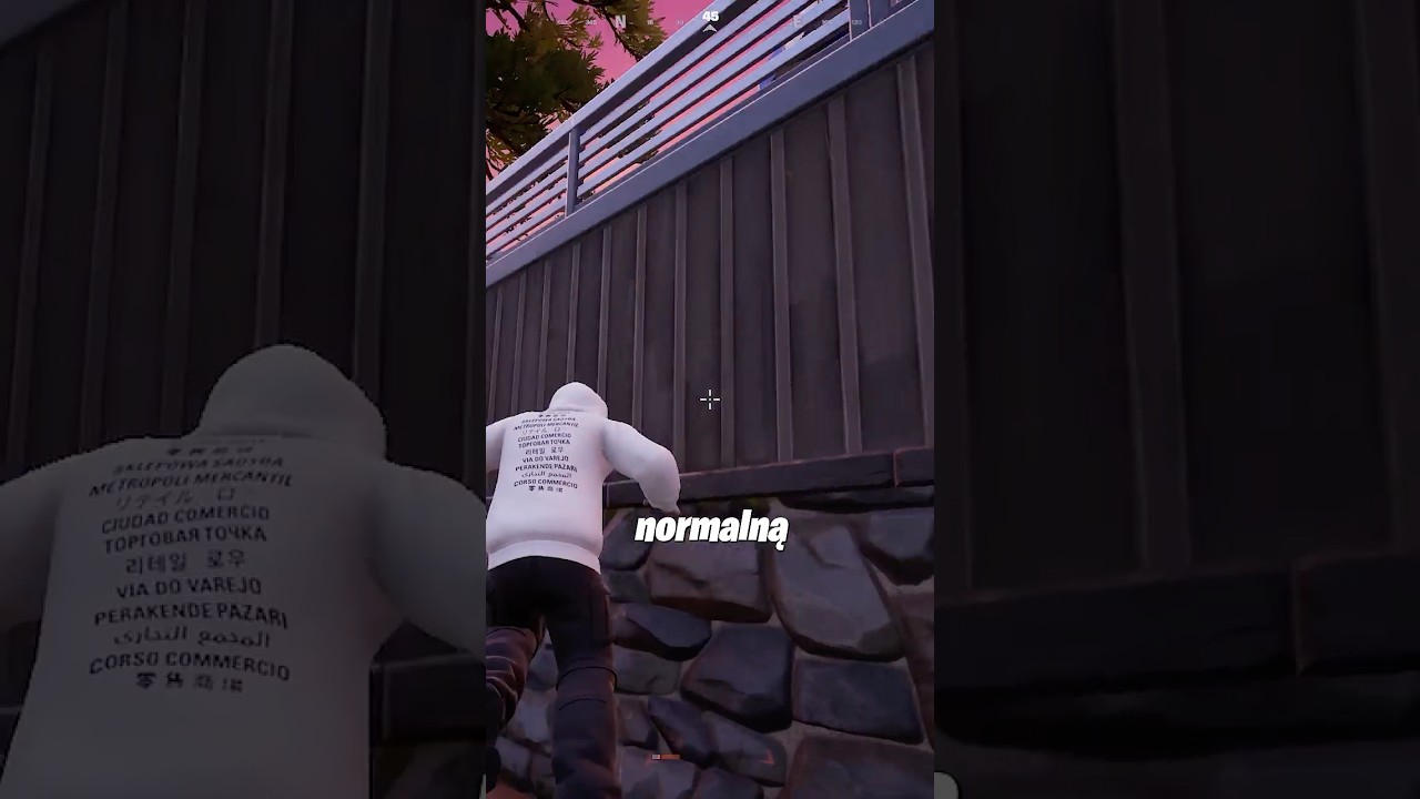 NAJKR&Oacute;TSZY BAN w Historii Fortnite!