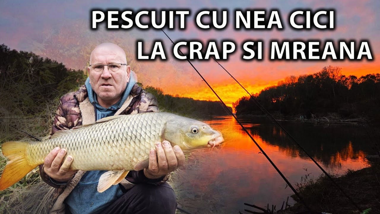 CU NEA CICI DUPA CRAPI SI MRENE