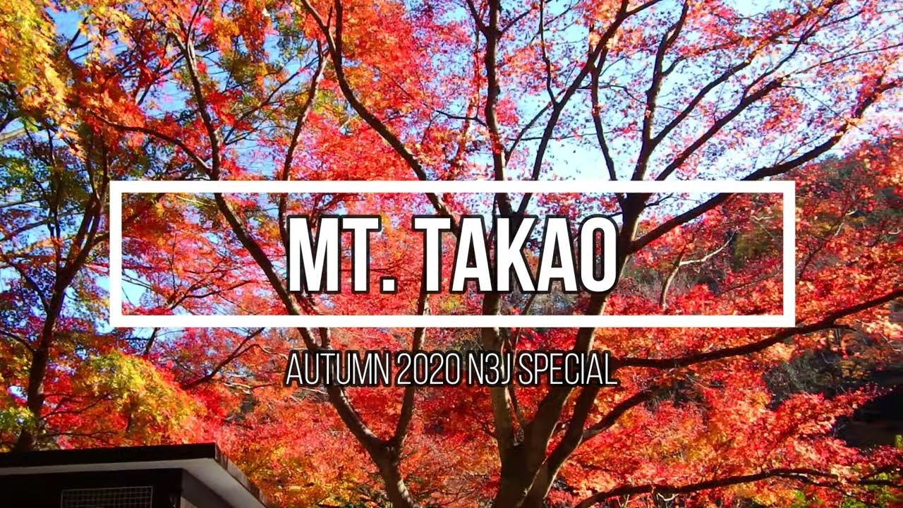 Mt. Takao Autumn 2020 [Tokyo, Japan] - 12 min. Chair Lift Ride
