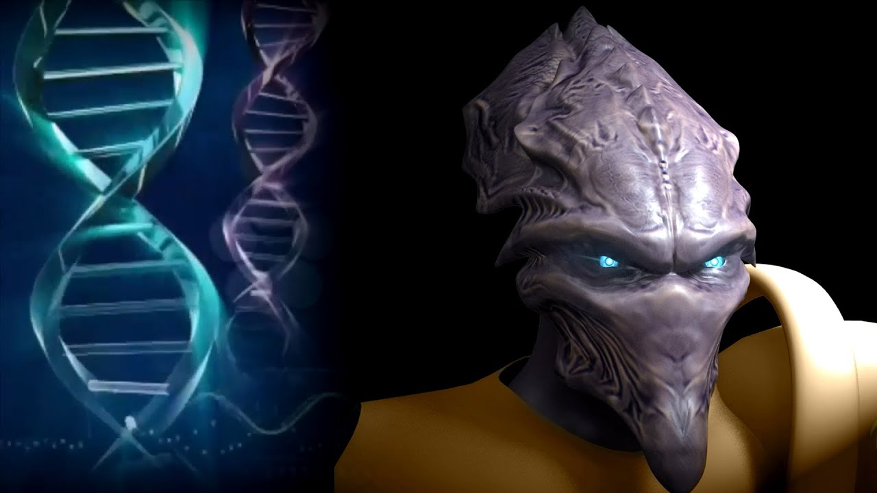 [StarCraft Chronicles] ФИЗИОЛОГИЯ ПРОТОССОВ