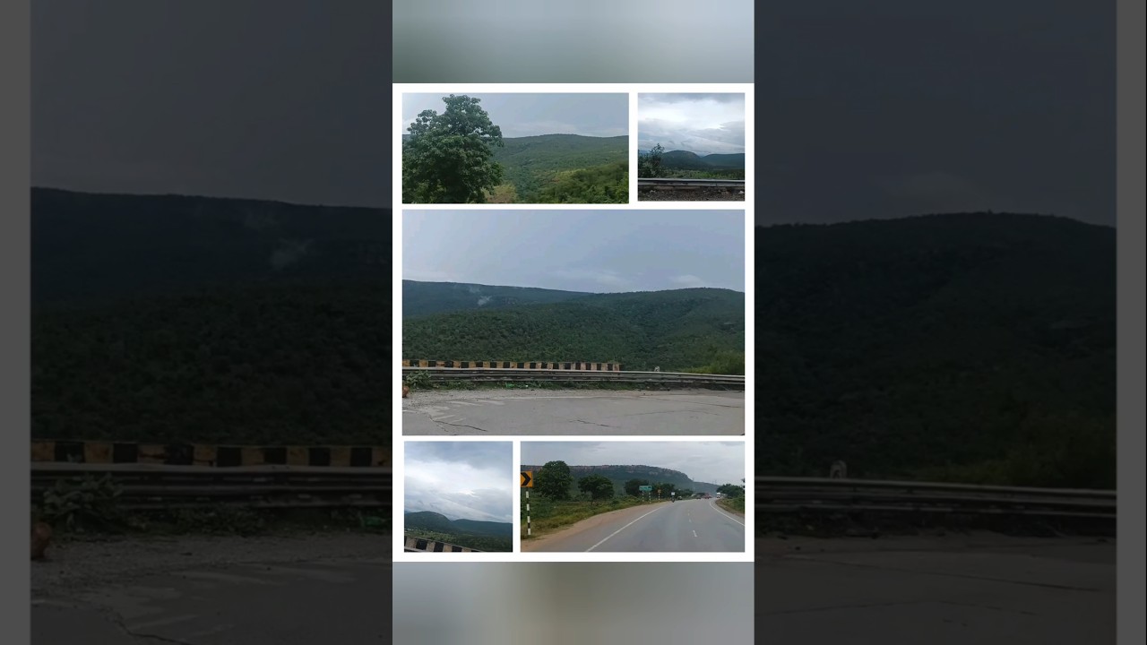 &ldquo;Seshachalam Ride 🌄🚗☁️&rdquo; #seshachalamhills #foodytravells #travelshorts #Andhra #kadapaghat #ghatride