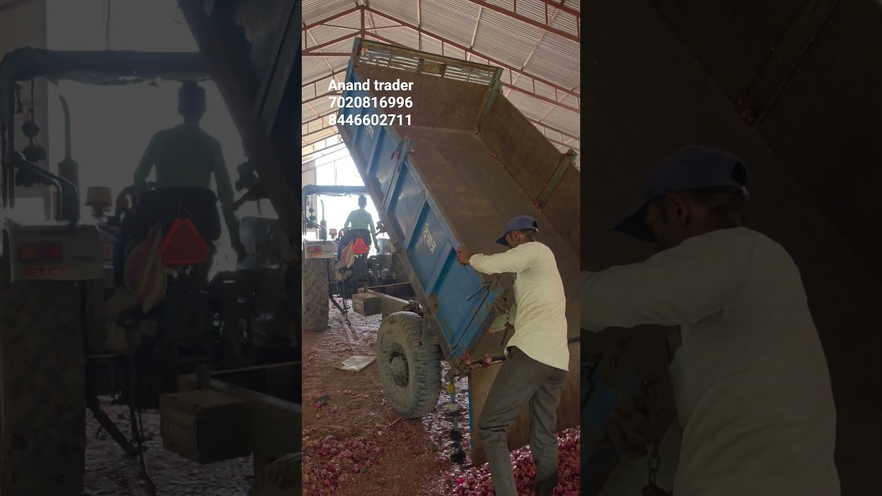 Nashik Onion Auction Today | A Grade Onion Gets Strong Demand