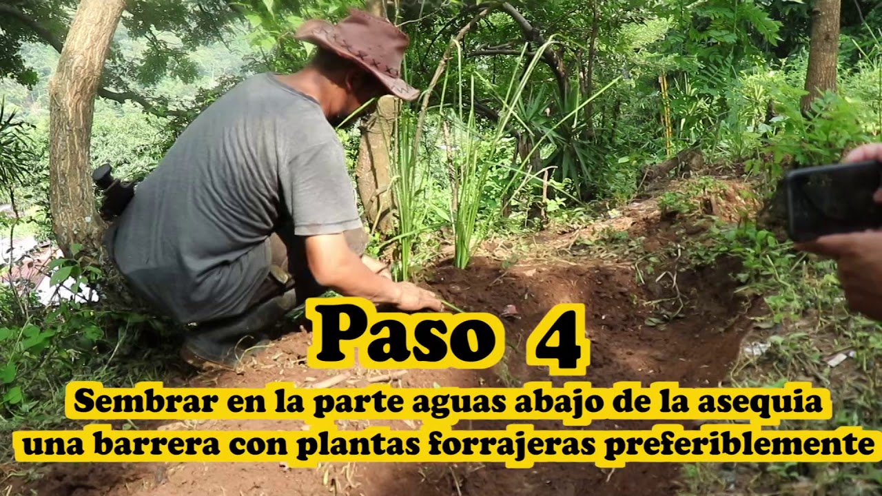 Siembra y cosecha de agua, (Como hacer Acequias de infiltración)