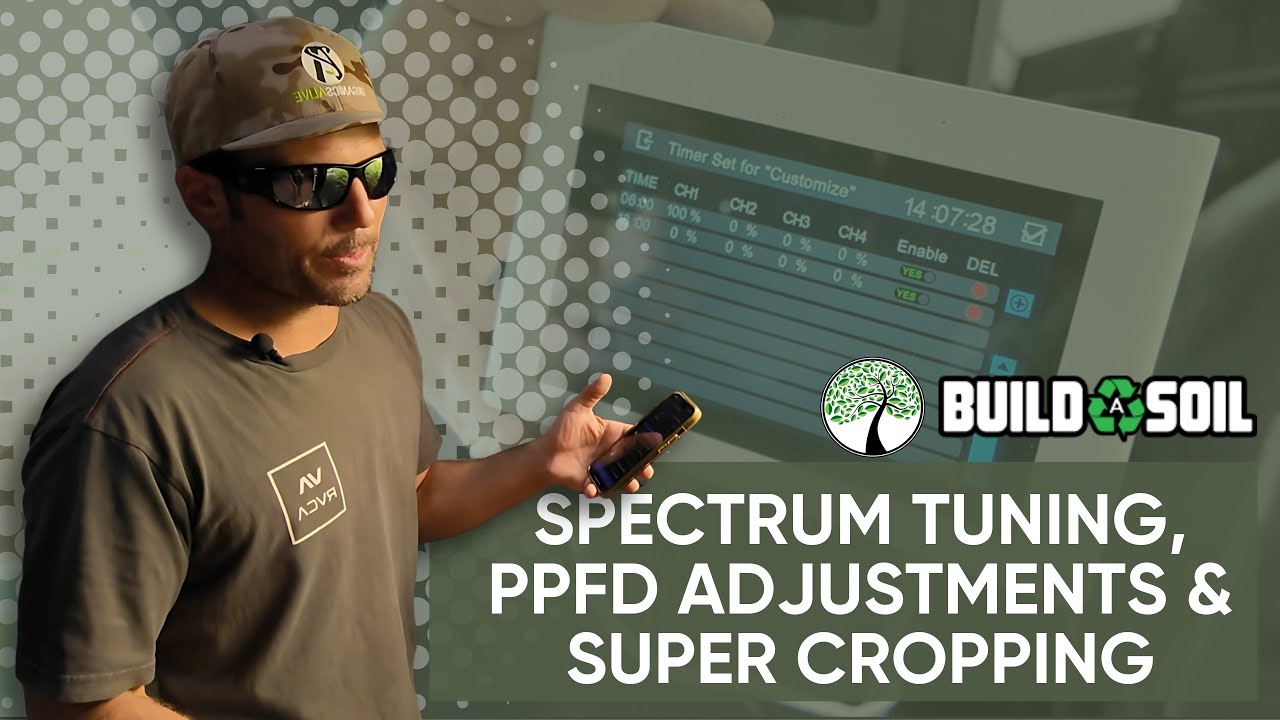 BuildASoil: Day 21 Flower Update // Spectrum Tuning, PPFD Adjustments & Super Cropping