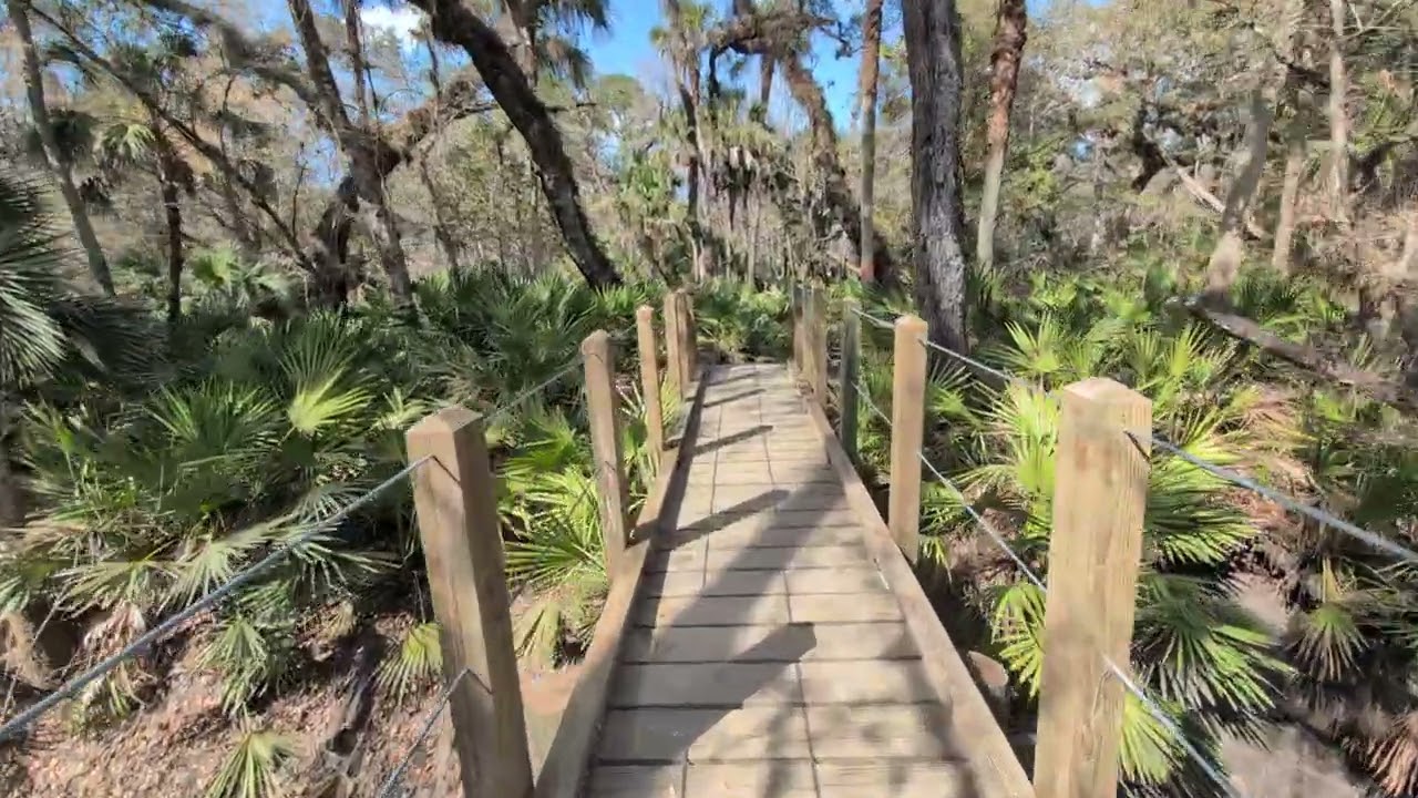Bridge Built by Volunteers with Florida Trail Association & Saw Palmetto to Flagler Trail South! 