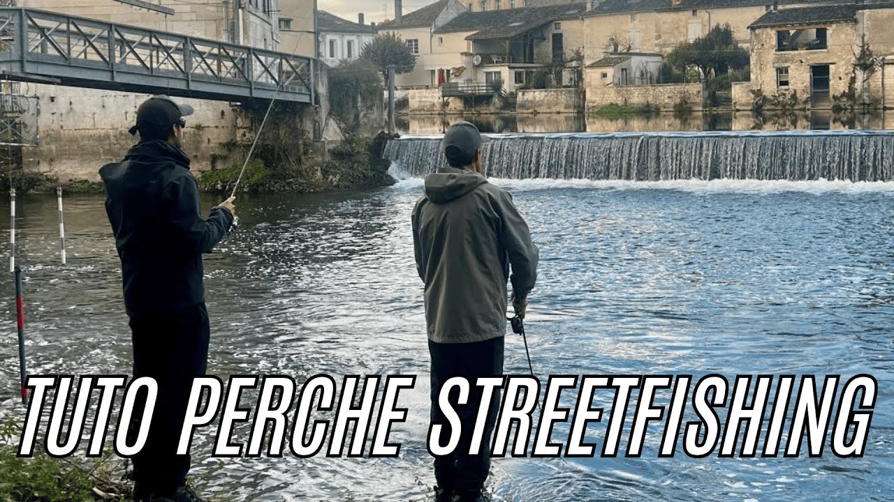 🎣 TUTO PERCHE EN STREETFISHING
