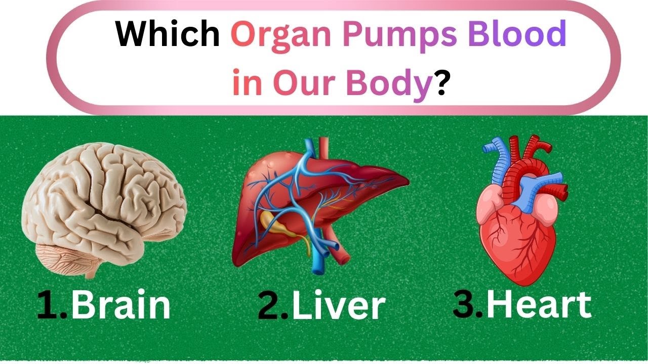 kids challanging quiz || can you score all questions || maths,science and geography.