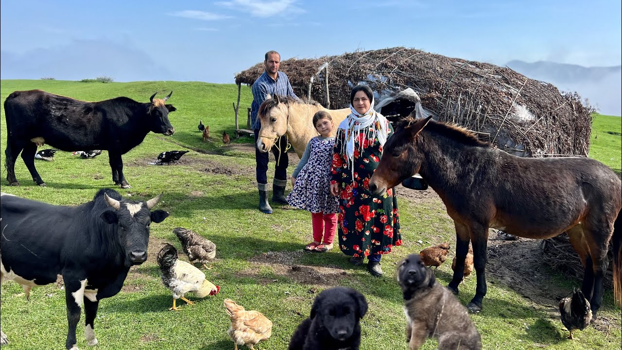 Nomadic Life: A Beautiful Autumn Morning in the Mountains | Taking Ducks & Geese to the Pond