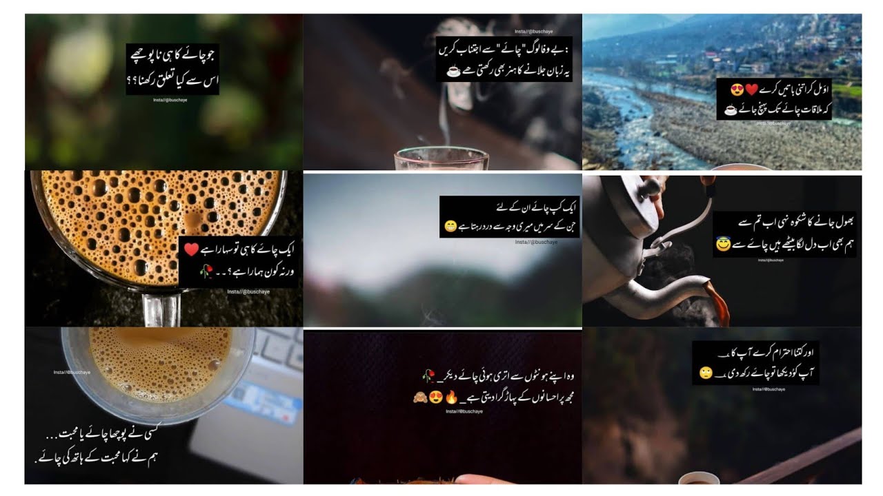 poetry for chai lover's/ chai poetry for Whatsapp status and dpz/ stubborn girl