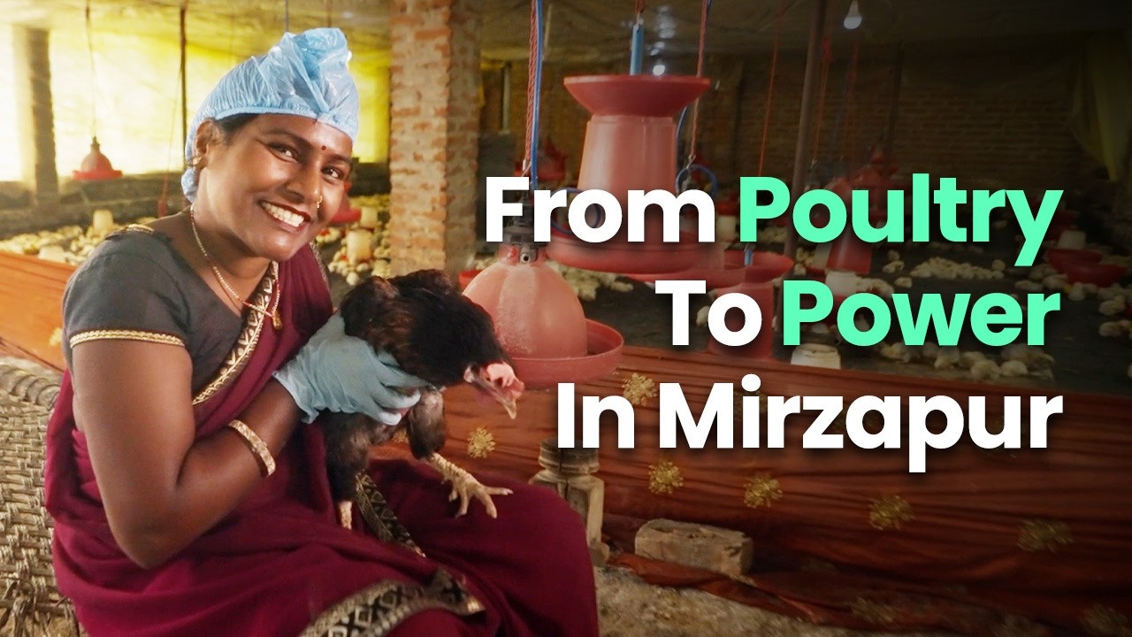 From Poultry To Power In Mirzapur