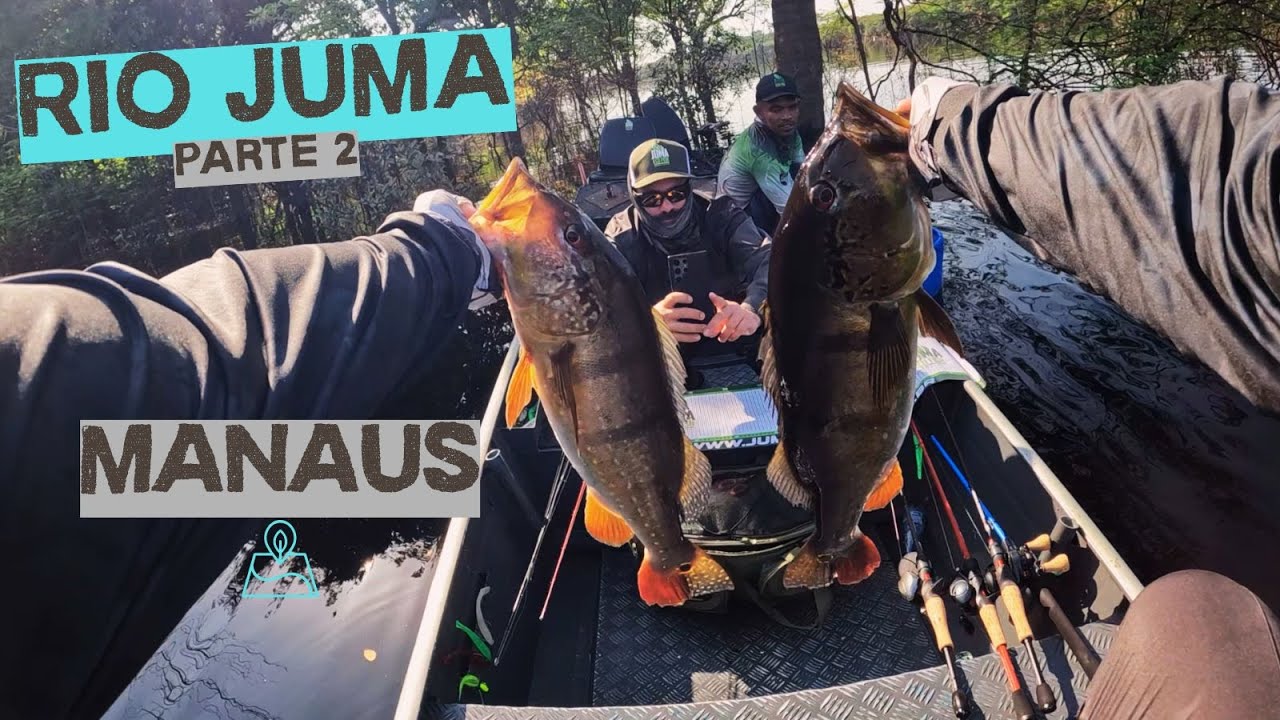CARDUME DE TUCUNARÉ PACA E AÇU NO RIO JUMA!! POUSADA JUMA ECO FISH - PARTE 2