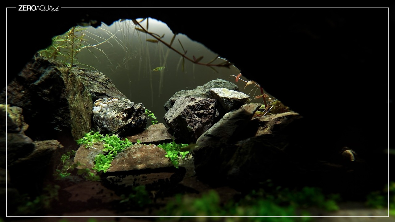 Real Sounds of Aquascaping: 60cm Tank Build ASMR | Start to Finish