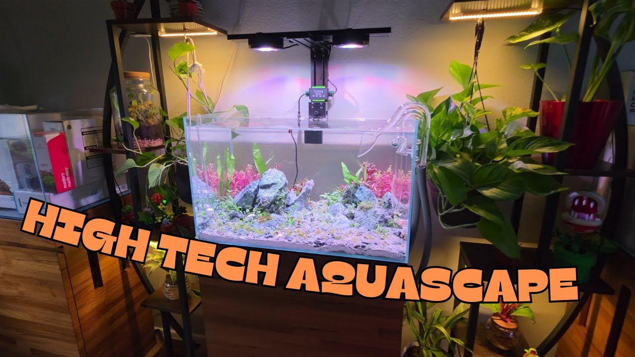 Creating A High Tech Aquascape - Tutorial/How to!