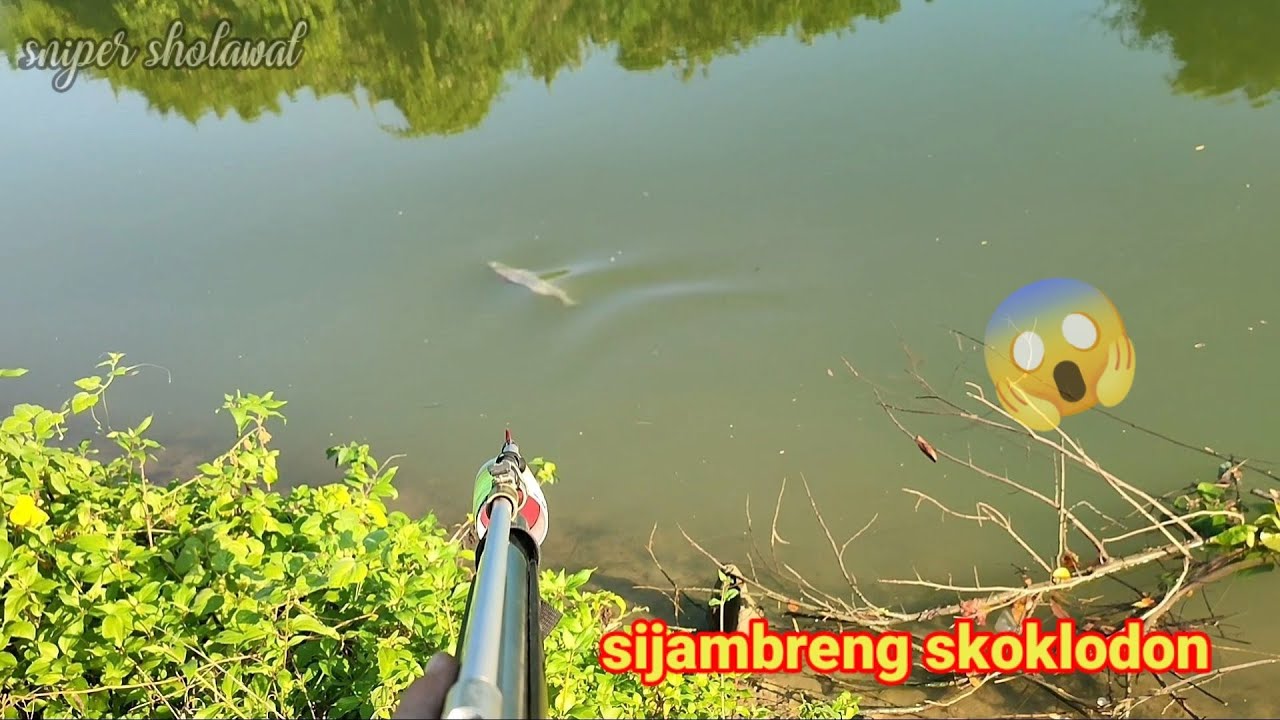 JAMBRENG SKOKLODON VS BARAMUNDI