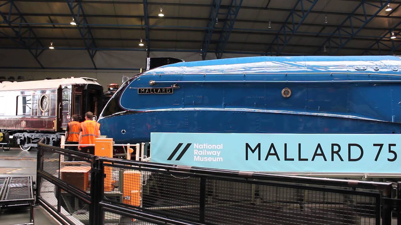 Mallard's grand entrance to start the Great Gathering.