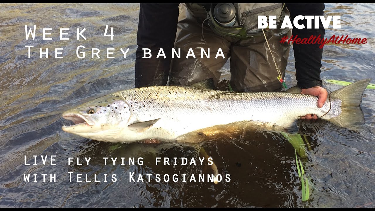 Fly Tying with Tellis Katsogiannos #4 Grey banana